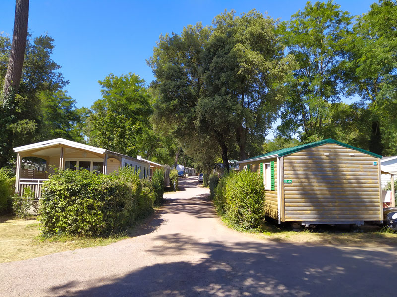 Camping Alès location mobil-homes avec piscine